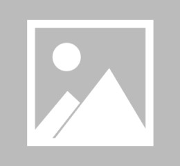 长沙利茂信息技术咨询有限公司，助力企业数字化转型，成就未来！