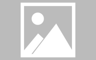 茶陵信息咨询服务，助力经济发展的新引擎